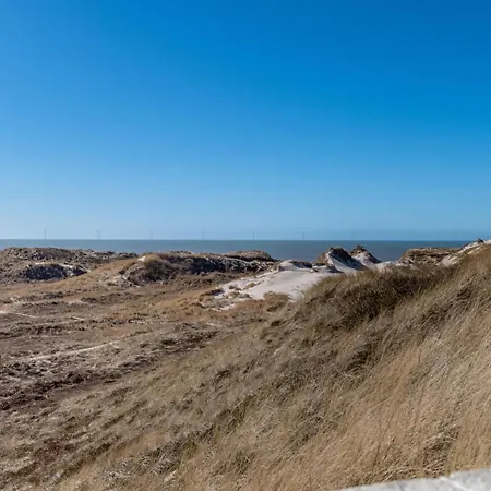 1151 * Ringkøbing
